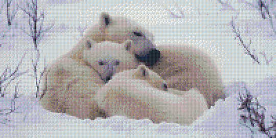 Polar Bear Family Ten [10] Baseplates PixelHobby Mini-mosaic Art Kit